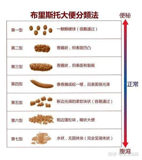 拉很多屎|大便量增多是什么原因